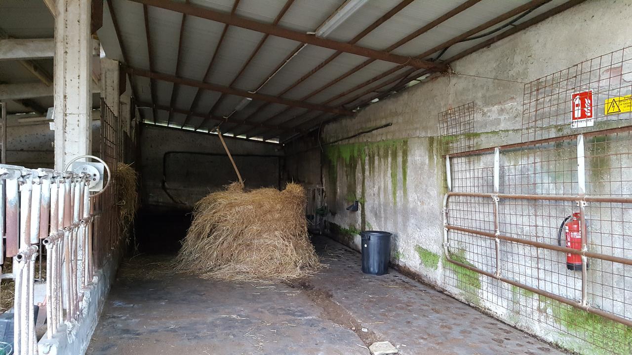 B&B Podere Montese Villafranca in Lunigiana Exteriör bild
