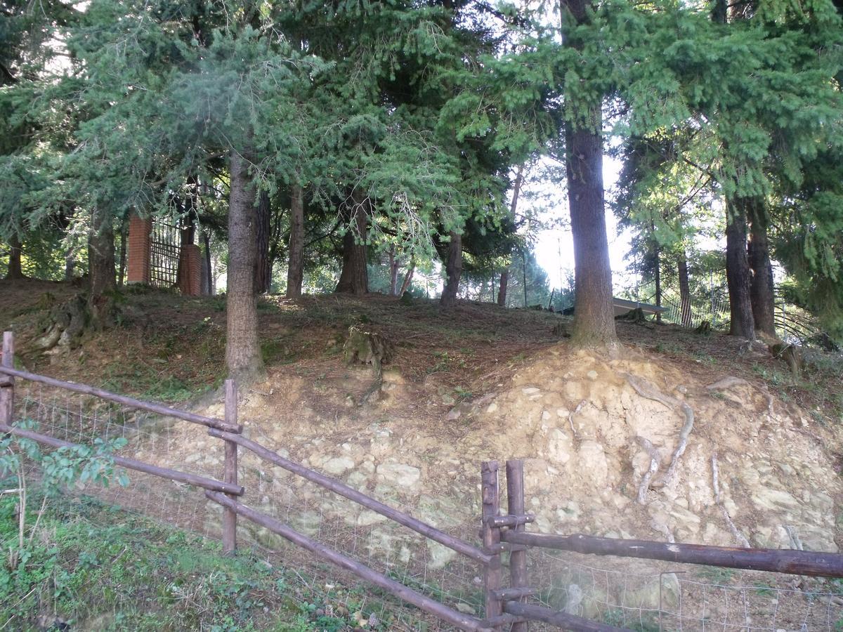 B&B Podere Montese Villafranca in Lunigiana Exteriör bild