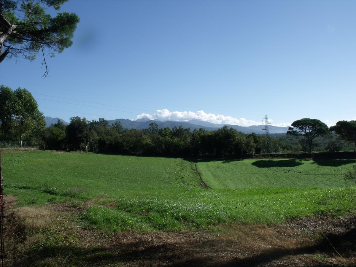 B&B Podere Montese Villafranca in Lunigiana Exteriör bild