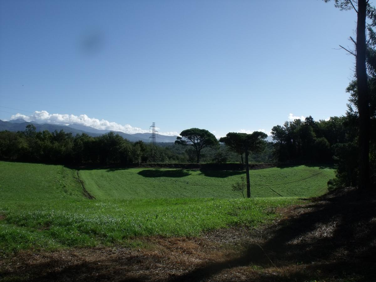 B&B Podere Montese Villafranca in Lunigiana Exteriör bild