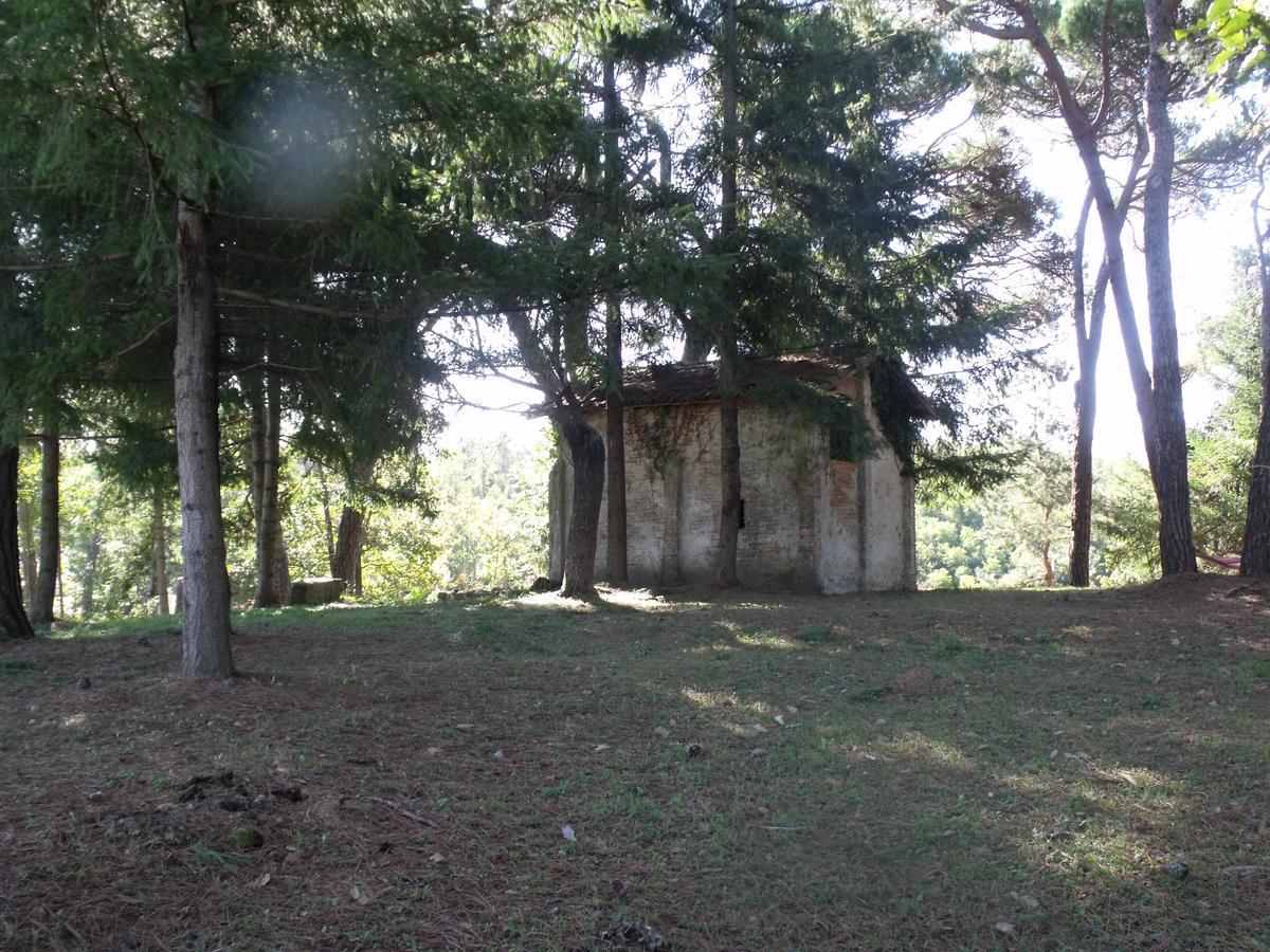 B&B Podere Montese Villafranca in Lunigiana Exteriör bild